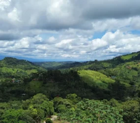 View of the highest point of the property